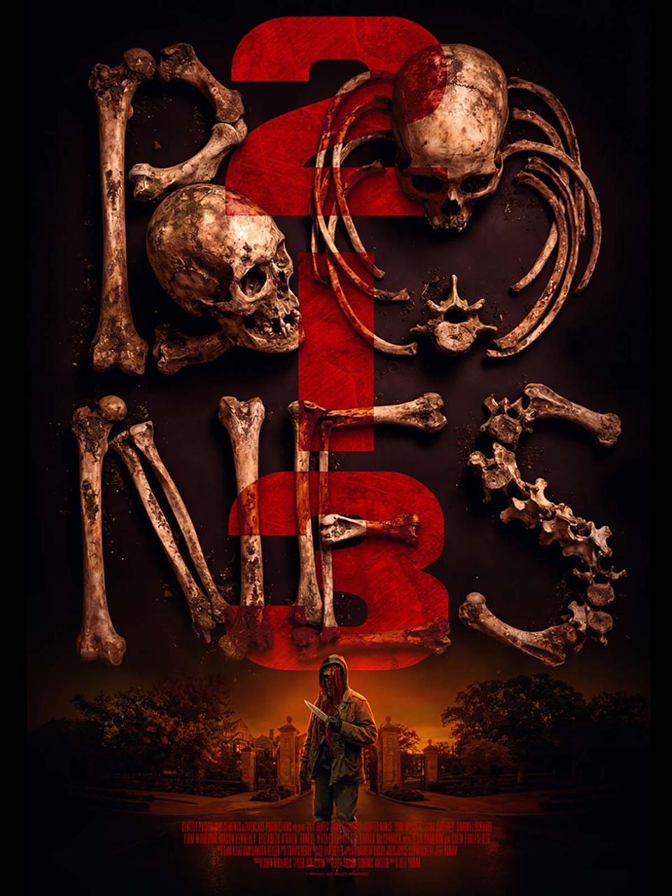 213 Bones poster