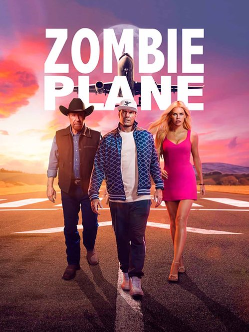 Zombie Plane poster